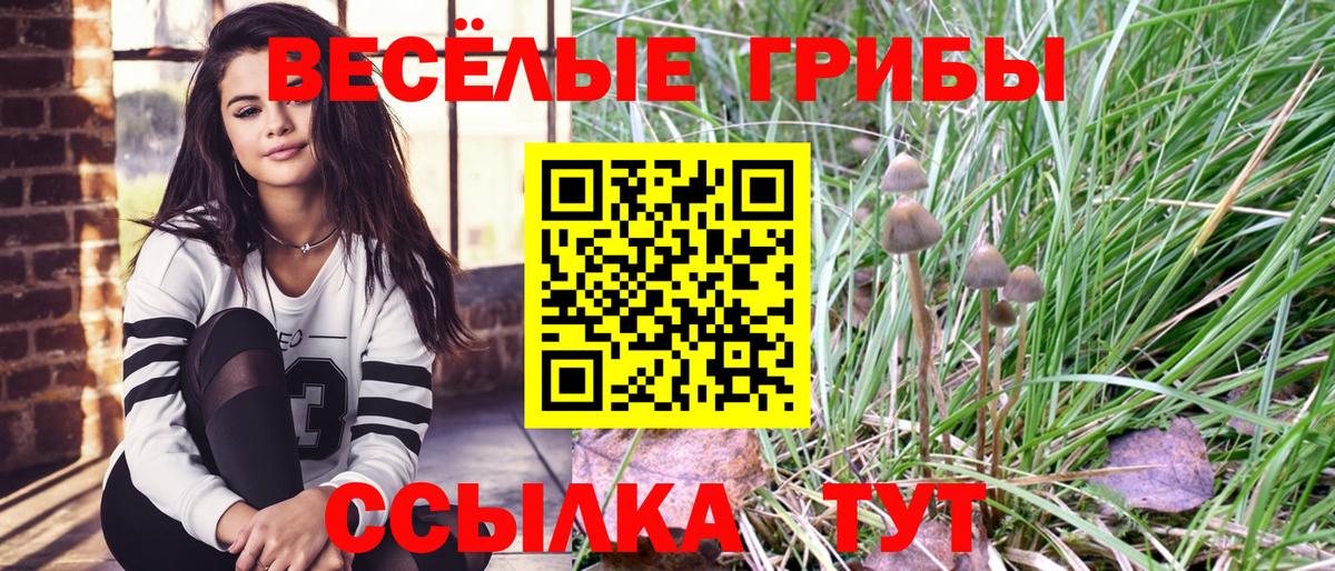 Псилоцибиновые грибы MAGIC MUSHROOMS  наркота  Удомля  Вход с VPN 